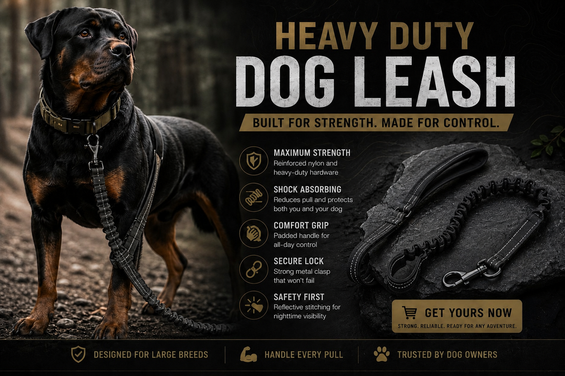 Heavy Duty Dog Leash for Large Dogs — What to Look For in 2026