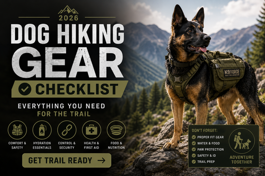 Dog Hiking Gear Checklist: Everything You Need for the Trail (2026)