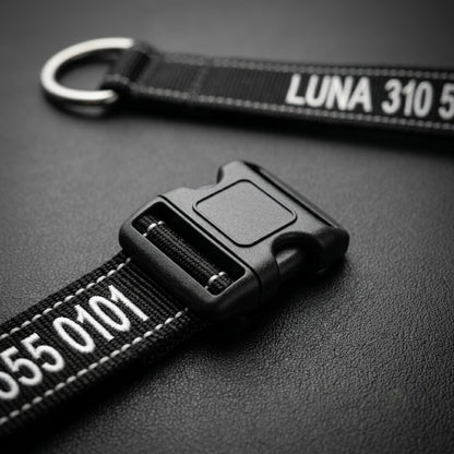 Close-up of personalized embroidered dog collar with quick-release buckle showing dog name and phone number in white text on black nylon