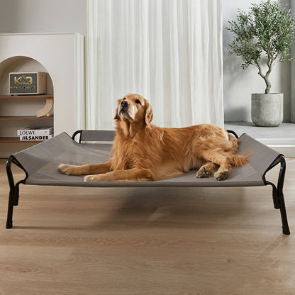 Golden Retriever on K9 Forge elevated dog cot – breathable mesh raised bed for large dogs