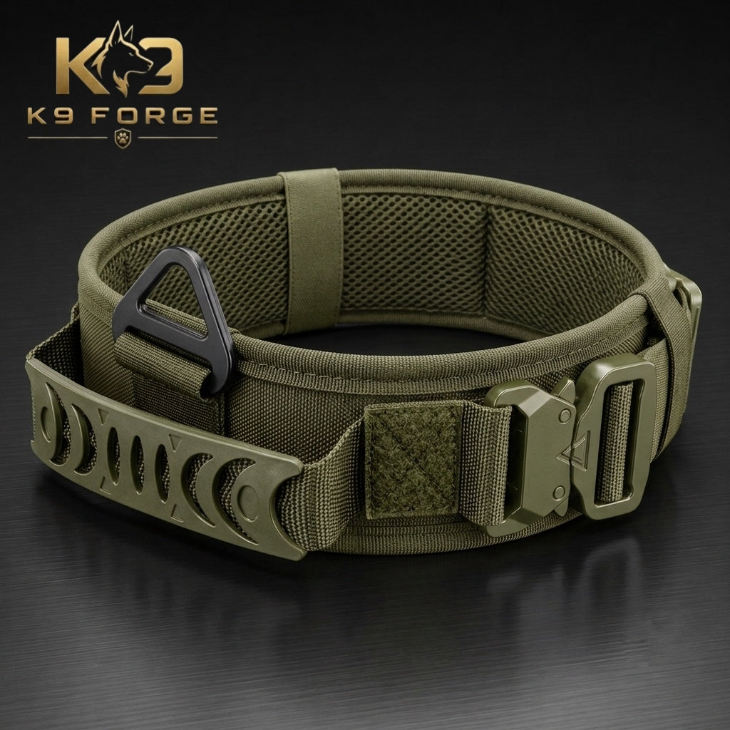 K9 Forge tactical dog collar OD green with MOLLE side plate, COBRA buckle and padded mesh lining for large breed dogs