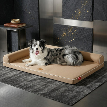 Large dog sofa bed beige – Border Collie on orthopedic bolster dog bed indoors