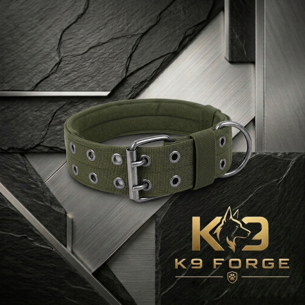 Tactical dog collar wide padded olive green – heavy duty double prong buckle for large dogs