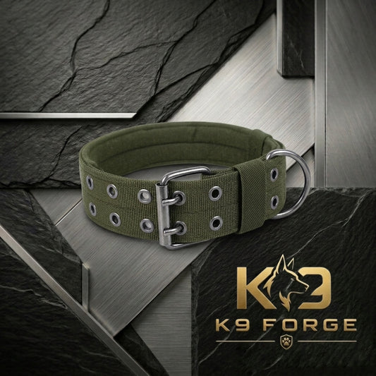 Tactical dog collar wide padded olive green – heavy duty double prong buckle for large dogs